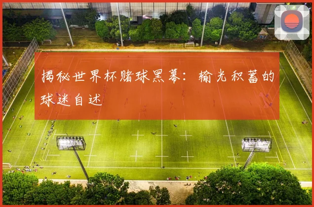 揭秘世界杯赌球黑幕：输光积蓄的球迷自述
