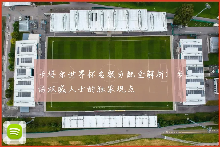 卡塔尔世界杯名额分配全解析：专访权威人士的独家观点