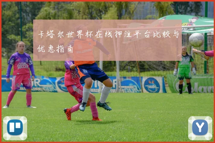 卡塔尔世界杯在线押注平台比较与优惠指南